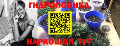 молекула духа Тверь