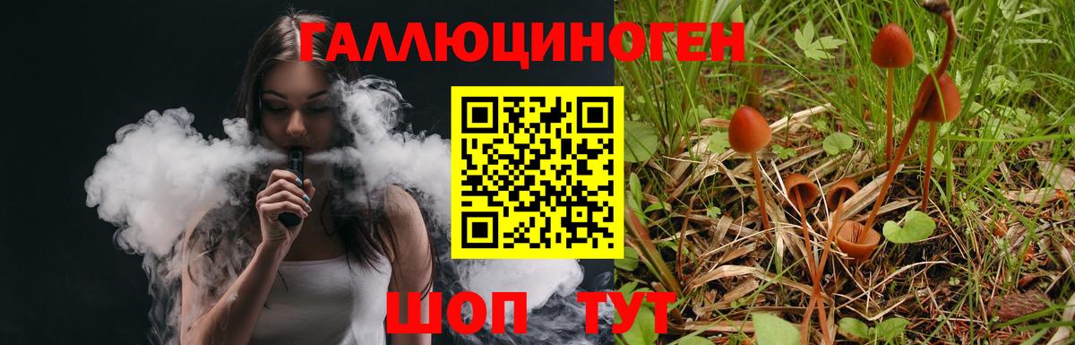 Псилоцибиновые грибы Psilocybe Нерюнгри